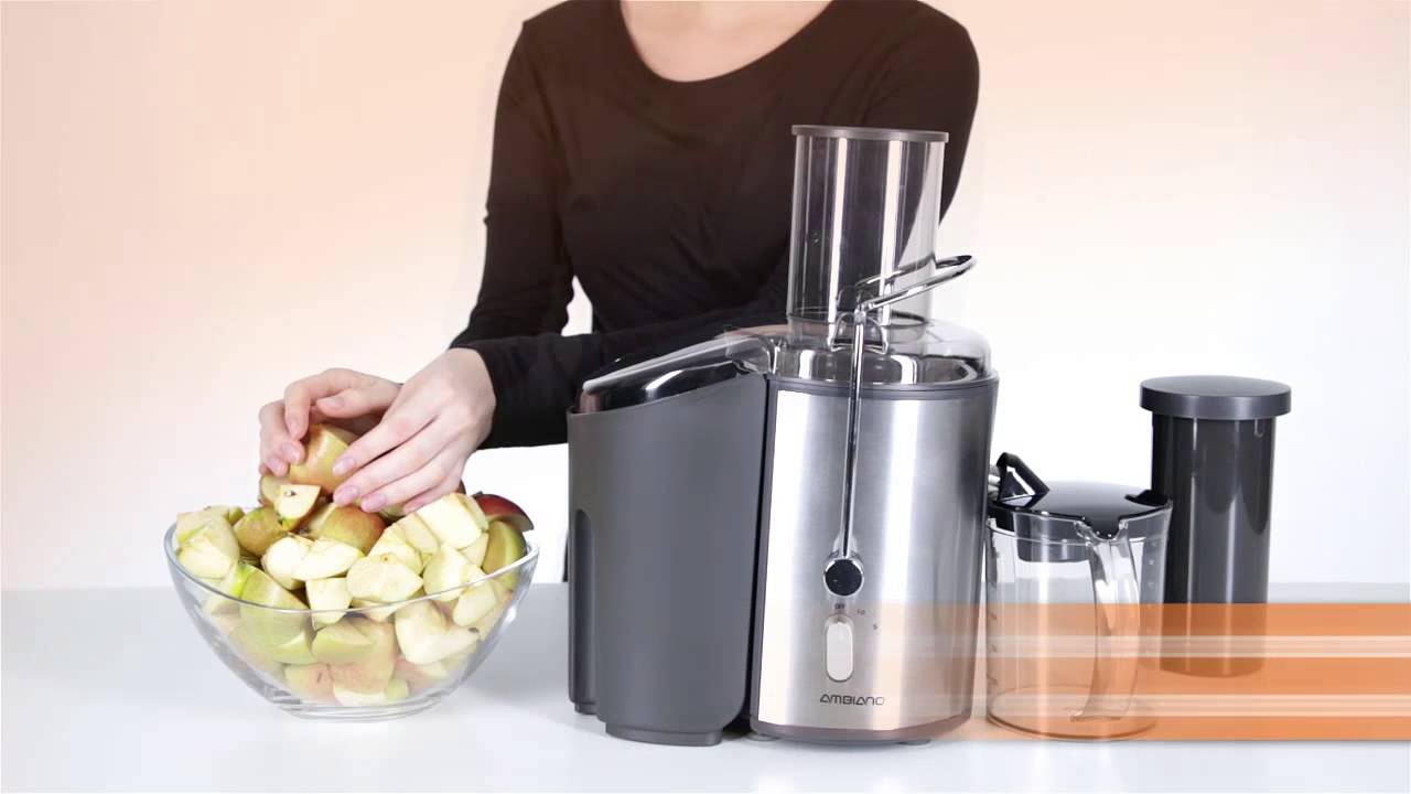 Extracteur de jus de fruits professionnel