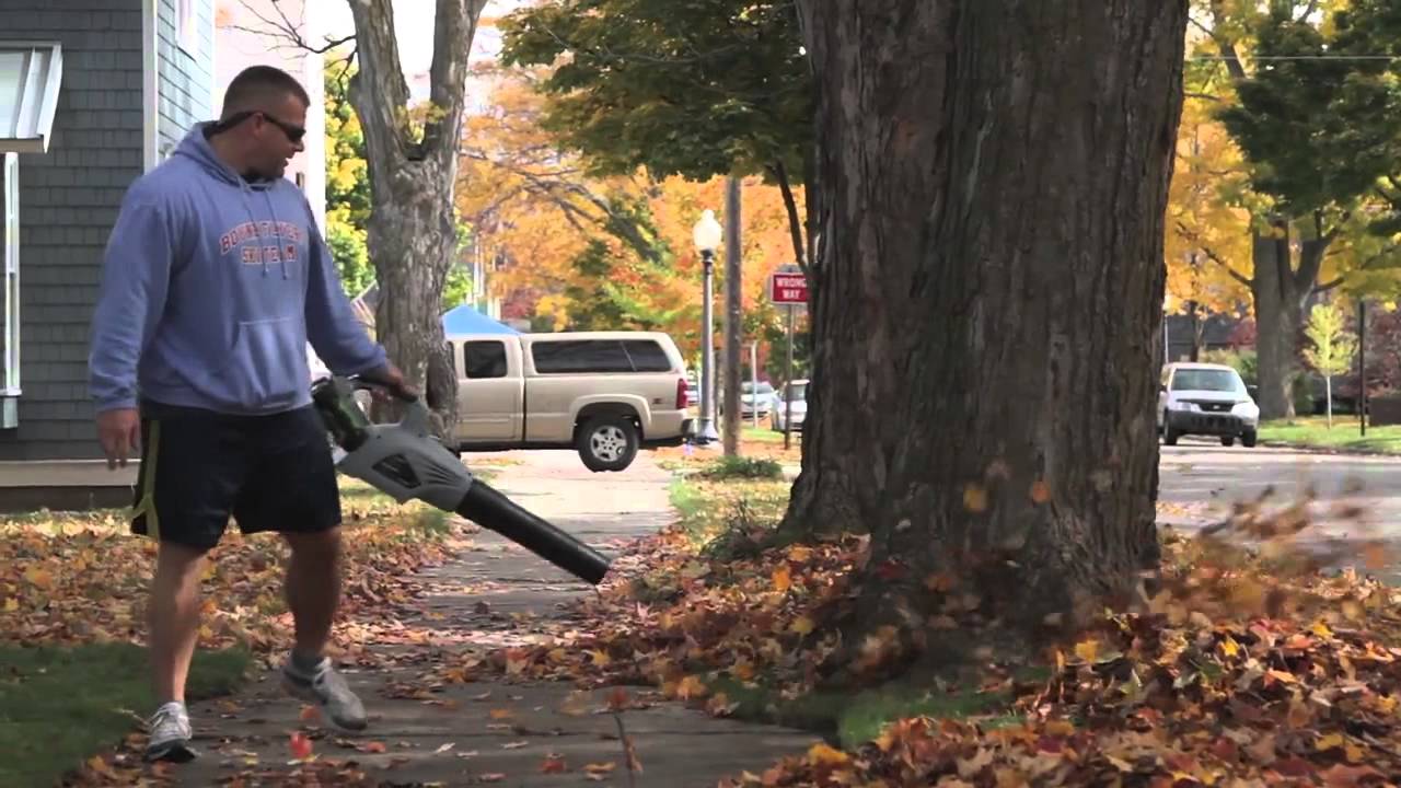 EGO Power+ Blower Intervention