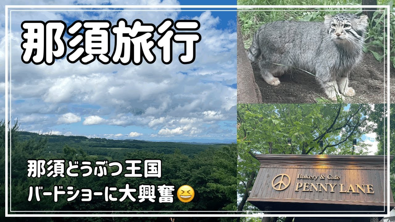 Nasu Travel Nasu Animal Kingdom [Re-upload]
