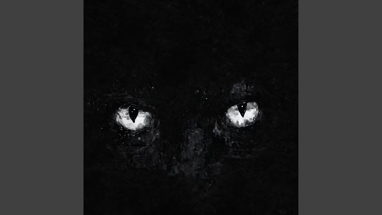 Gato Negro