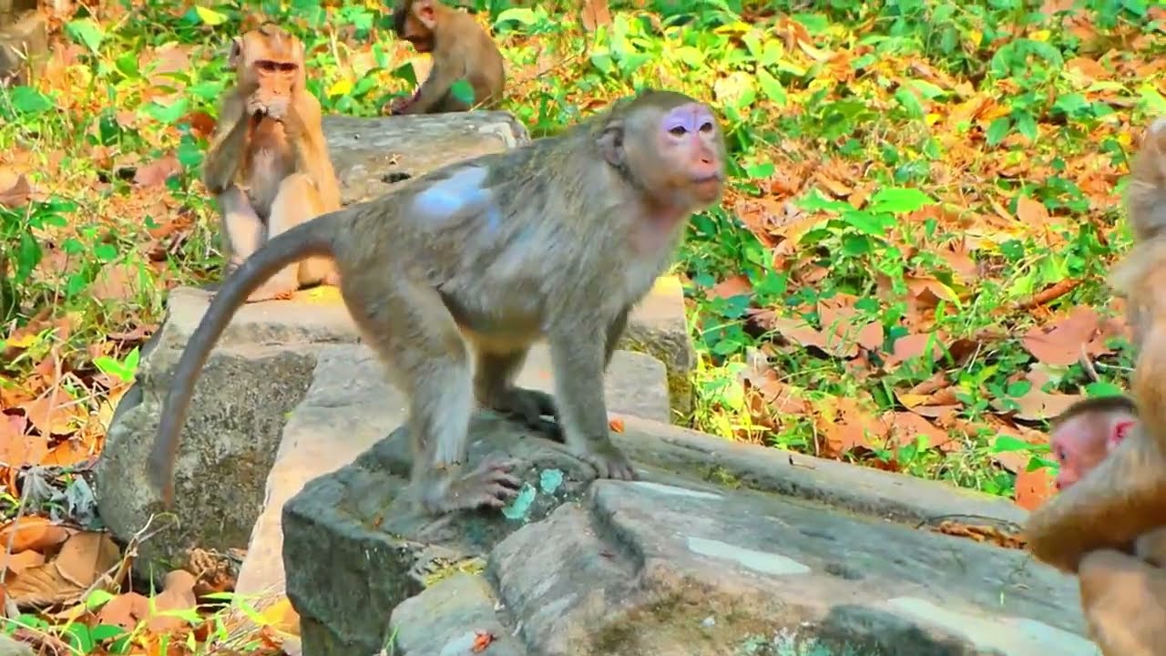 My Video 8