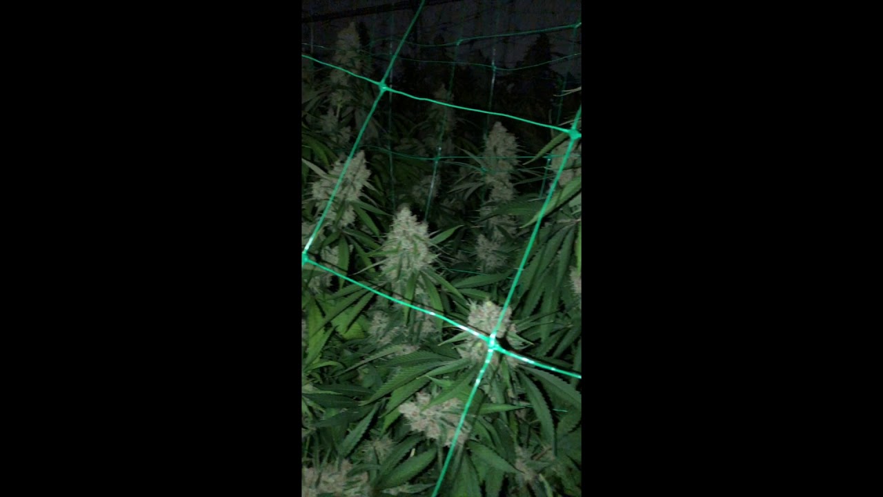 The High Road -  Death Star