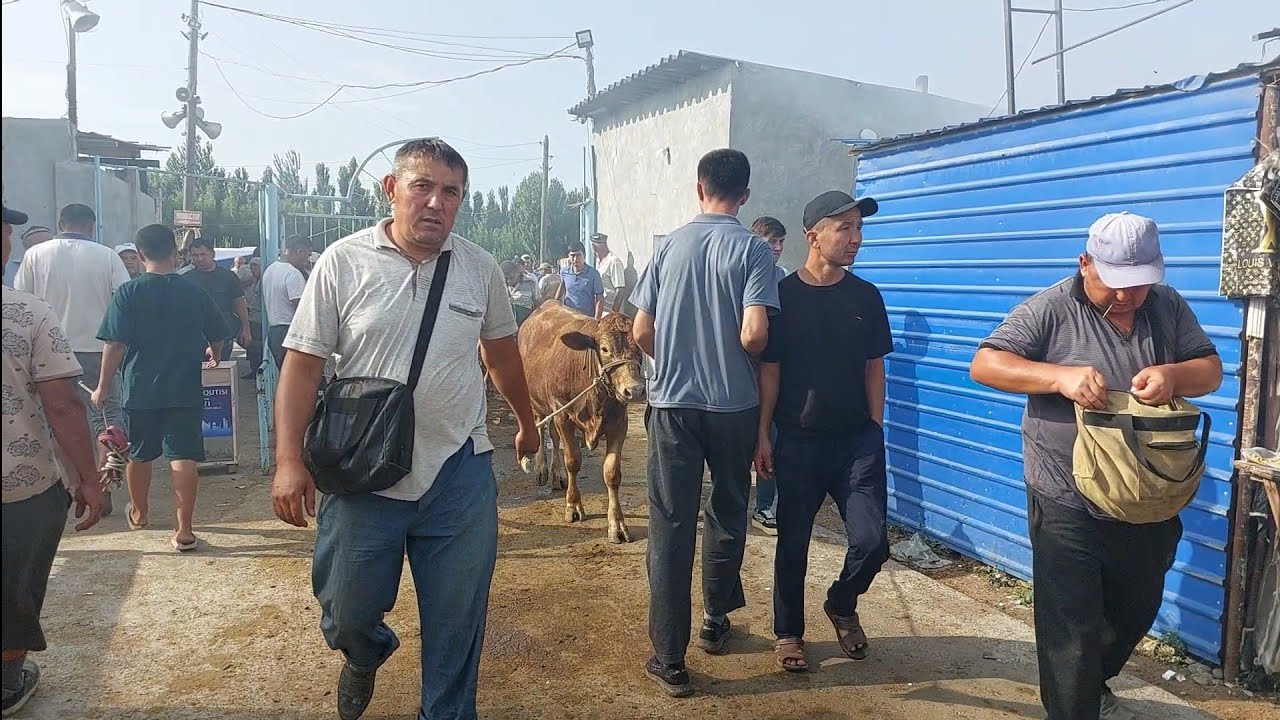 Beshariq mol bozoridan lavhalar 7.07.2024yil