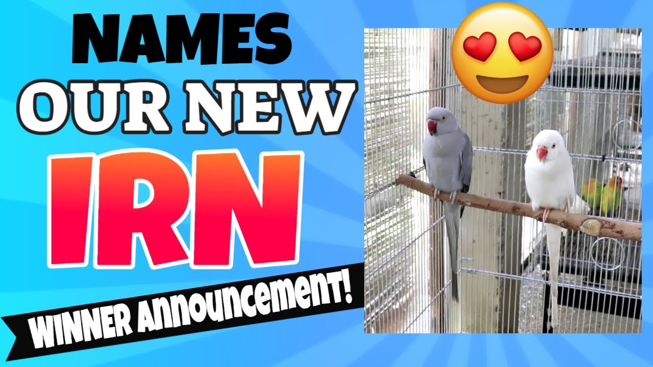 PANGALAN NG AMING NEW INDIAN RINGNECKS! Winner Announcement