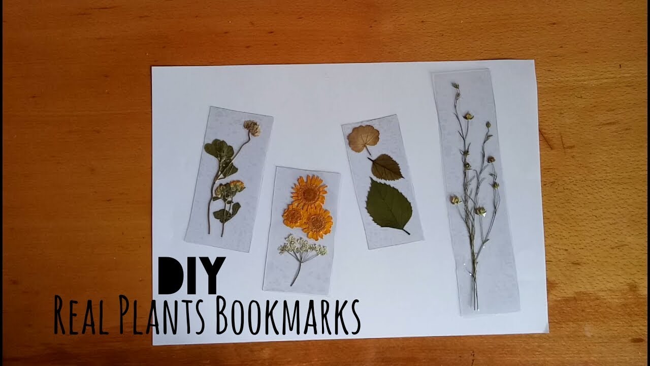 DIY: Transparent Real Pressed Plants Bookmarks | My Crafting World