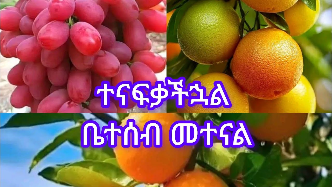 መተናል ቤተሰብ