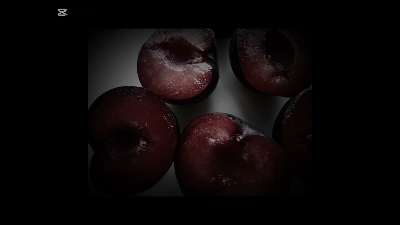 🍵  ●  tecitos de ciruela.