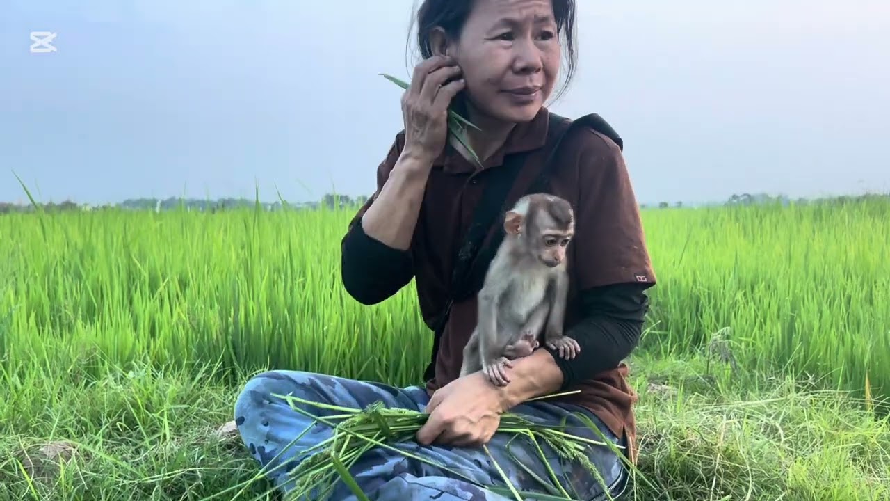 Mommy takes Mary to the  countryside #animals #mary #monkey