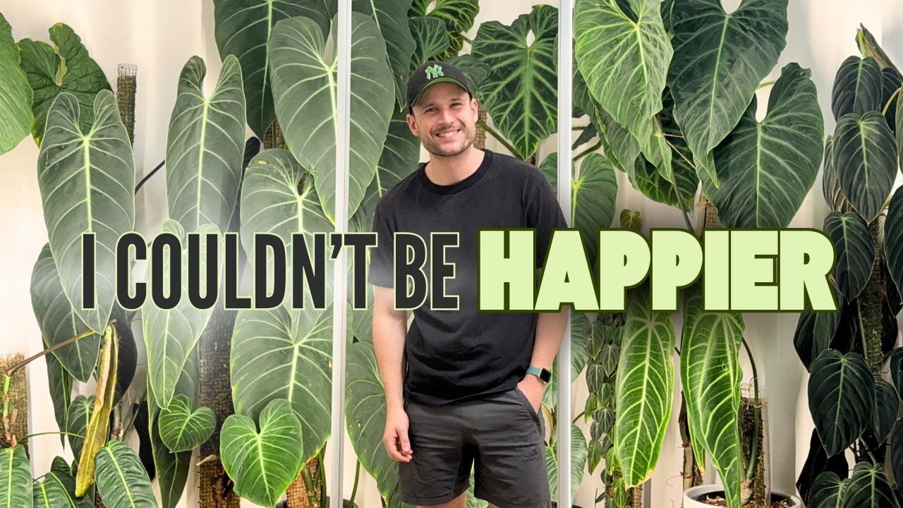 Tour of My New Apartment Full of Plants (200+ Plants)