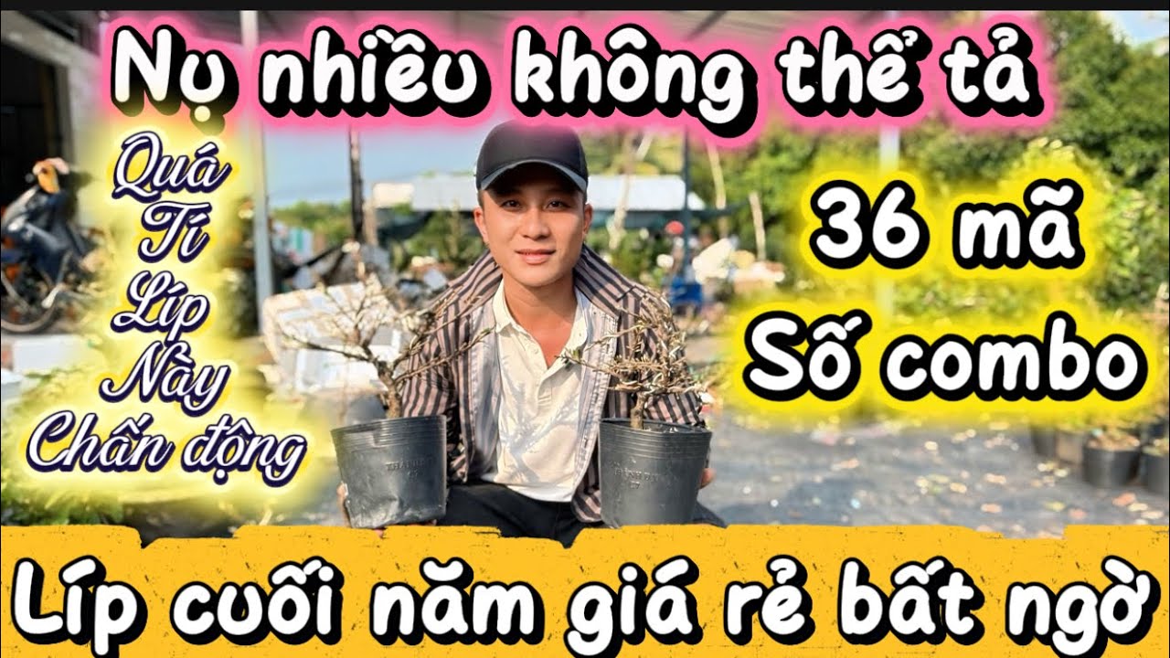 ❌❌HẾT  HÀNG❌❌📲xã clip cuối giá rẻ mã số combo 36 mã nụ đeo kính cây 