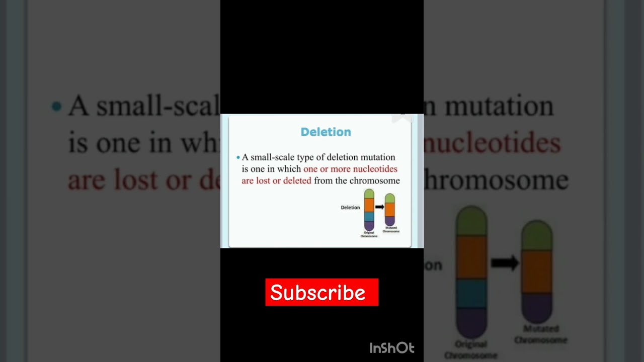 Principles of Inheritance and variation| Chromosomal Mutation| Biology class 12 chapter 5