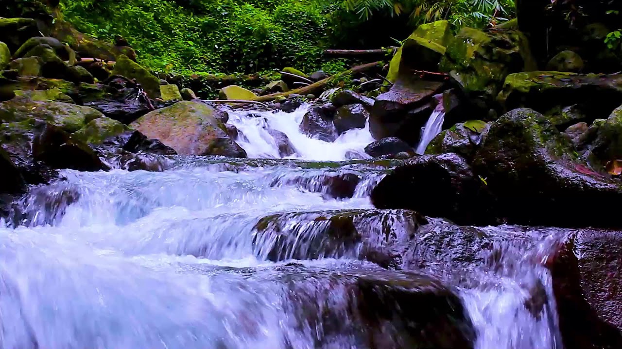 Mountain Creek Ambience in Deep Forest | Gentle Water Sounds for Night Sleep
