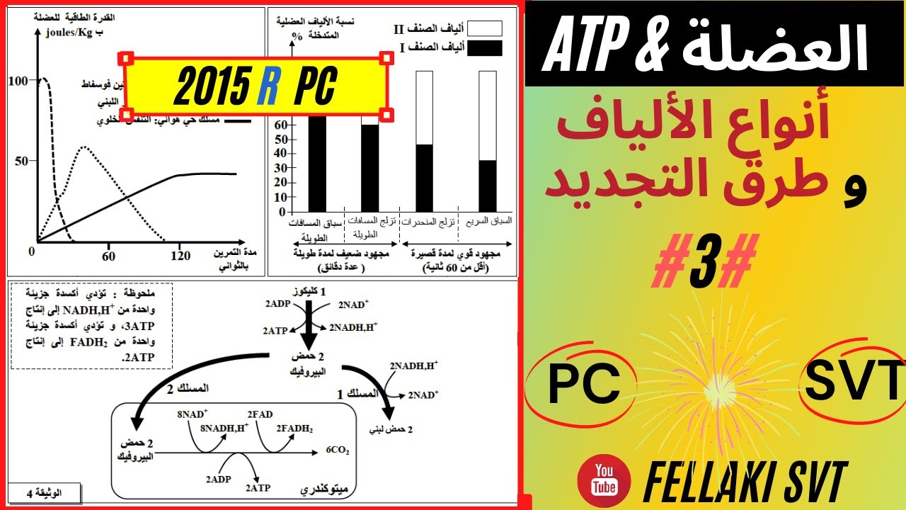 PC أنواع الألياف و طرق التجديد وطني 2015 استدراكية مسلك  : ATPالنوع 3 من تمارين