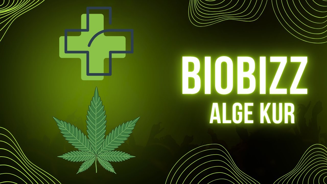 BioBizz Algamic Alge Kur