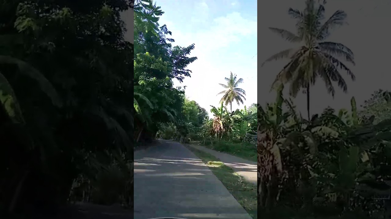 My Daily Moto Ride 162 Days | Ride Safely