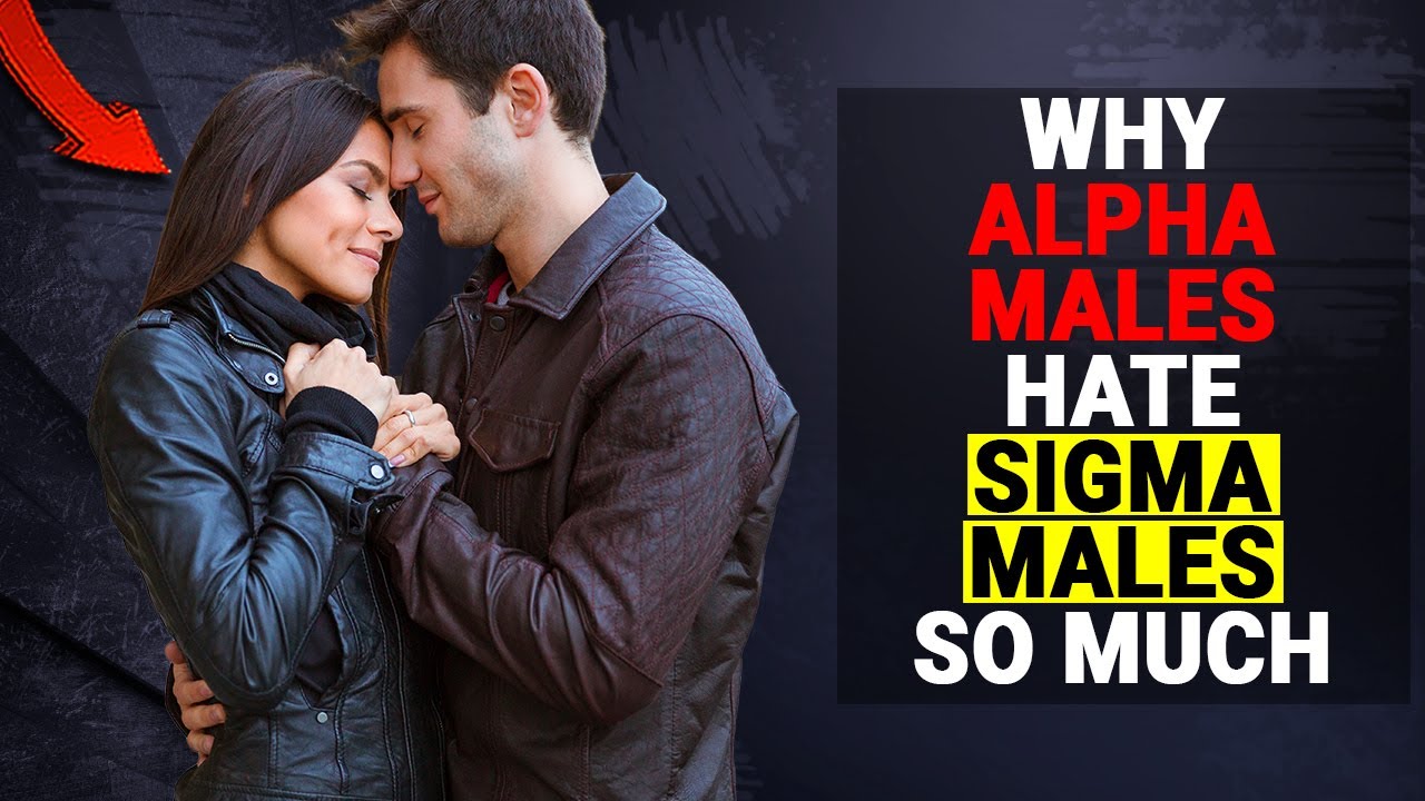 Why Alpha Males Hate Sigma Males SO Much