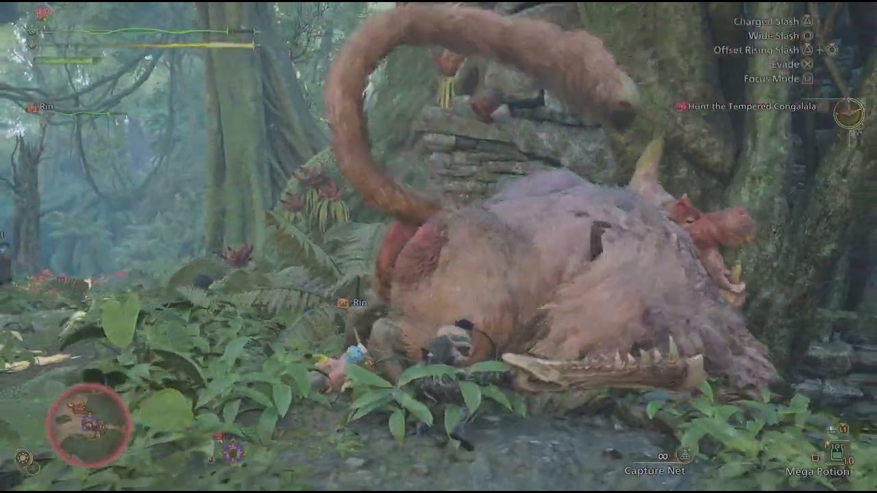 Vigorwasp and the Vigorwasp.