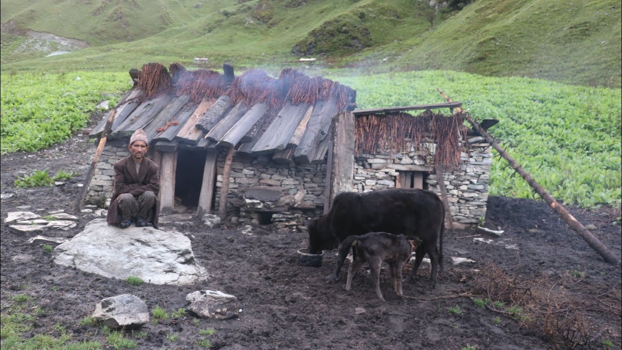 This is Most Beautiful Village Life During the Rain | Rural Documentary Video | Nature With Rural |