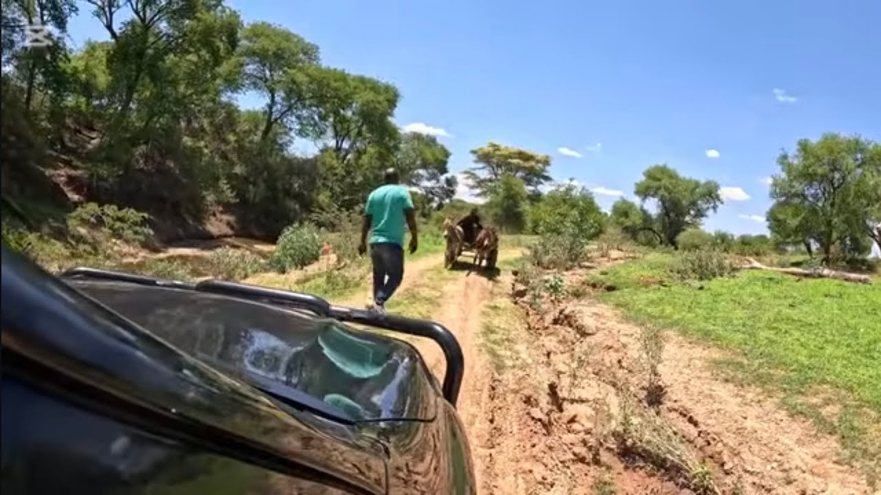 Country side life,  the progress/ regress since last visit. 