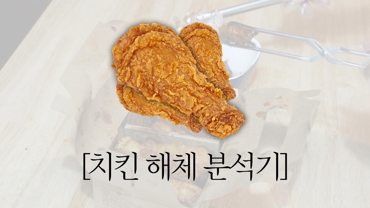 [ 치킨 해체 분석기 ]