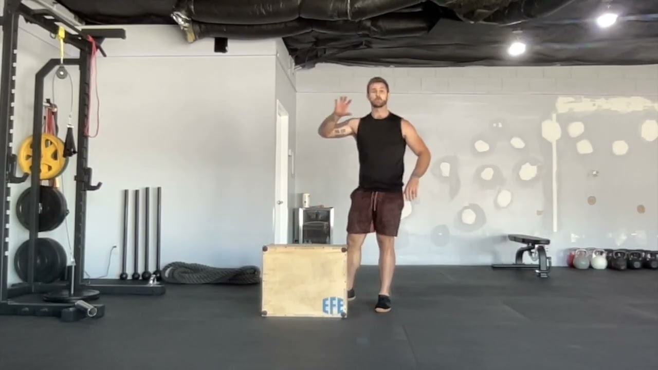 Bodyweight Step Up