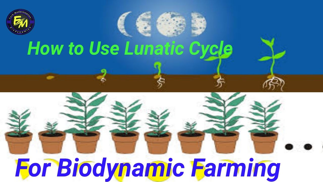 How to Use Lunatic Cycle in Biodynamic Farming | Modern Agricultural Technology | Sustainable Farm