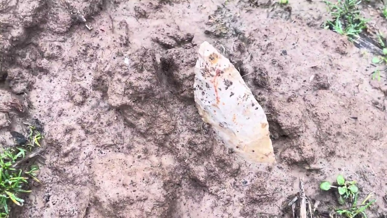 Nice find on 3-5-2026 #arrowheads #artifacts