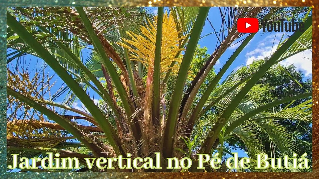 Conheça o Butiá - YouTube