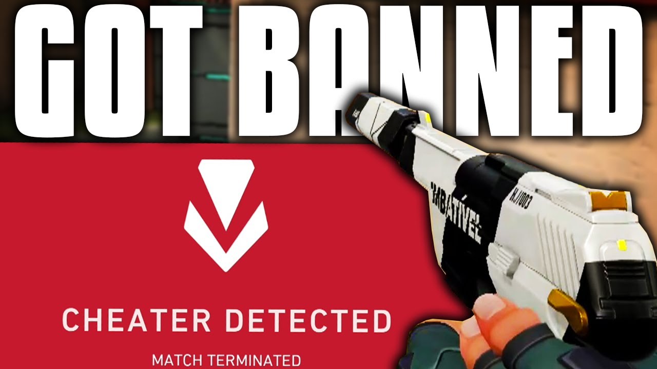 I GOT A HACKER BANNED