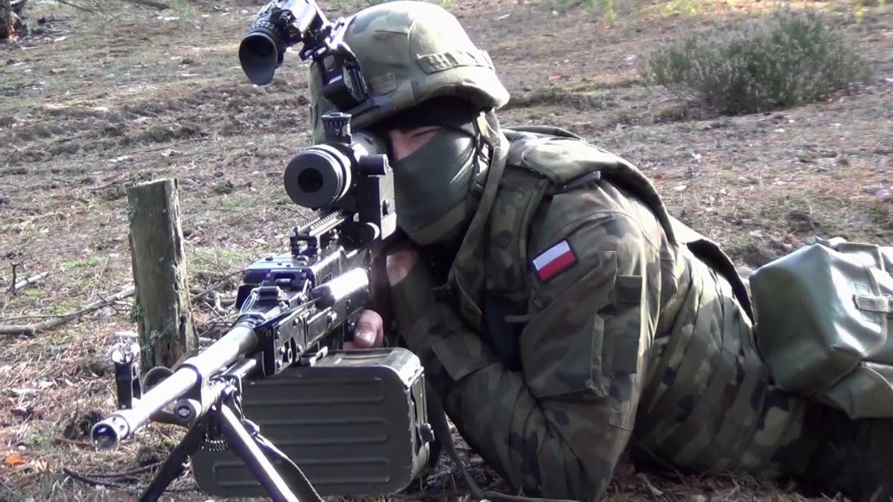 Borsuk 17