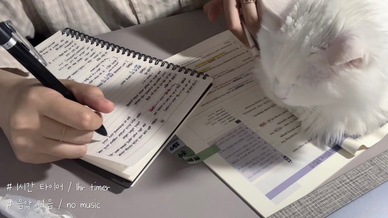 🍞식빵 굽는 고양이와 집사의 스윗미🍞