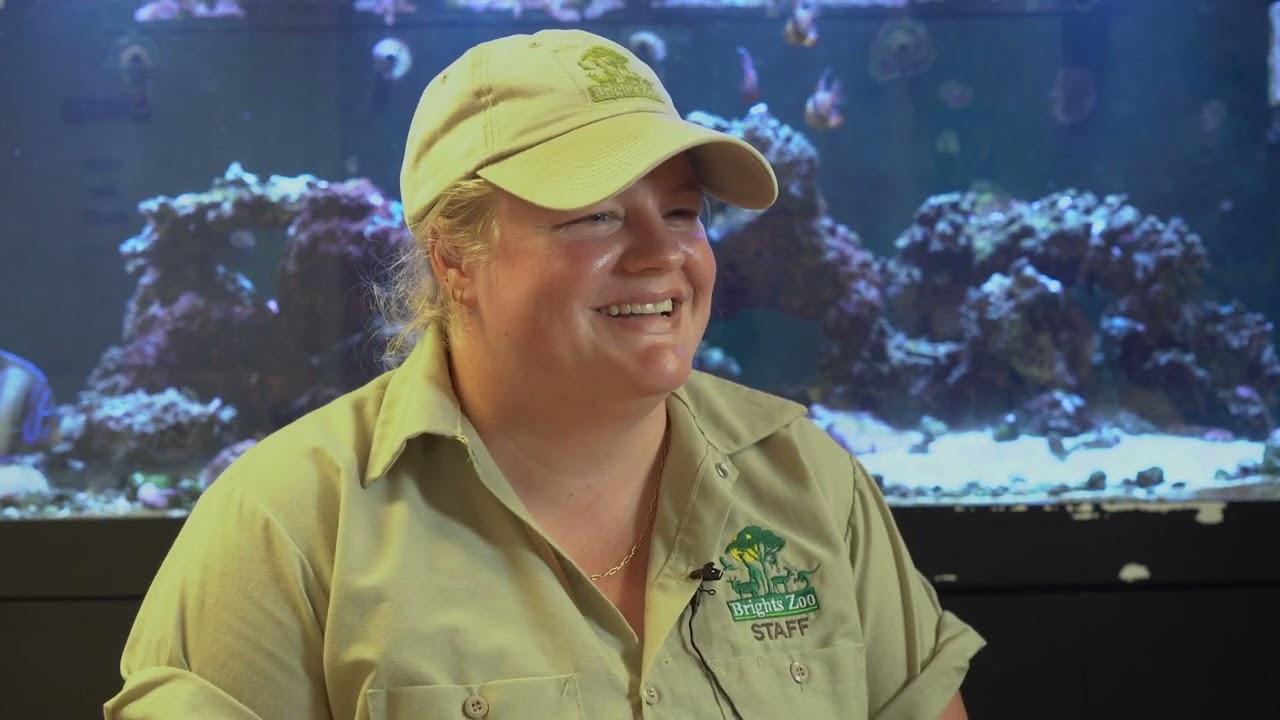 Brights Zoo Short Documentary