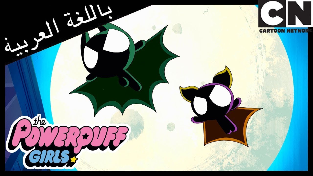 فتيات القوة | 3 بلوسوم | كرتون نتورك