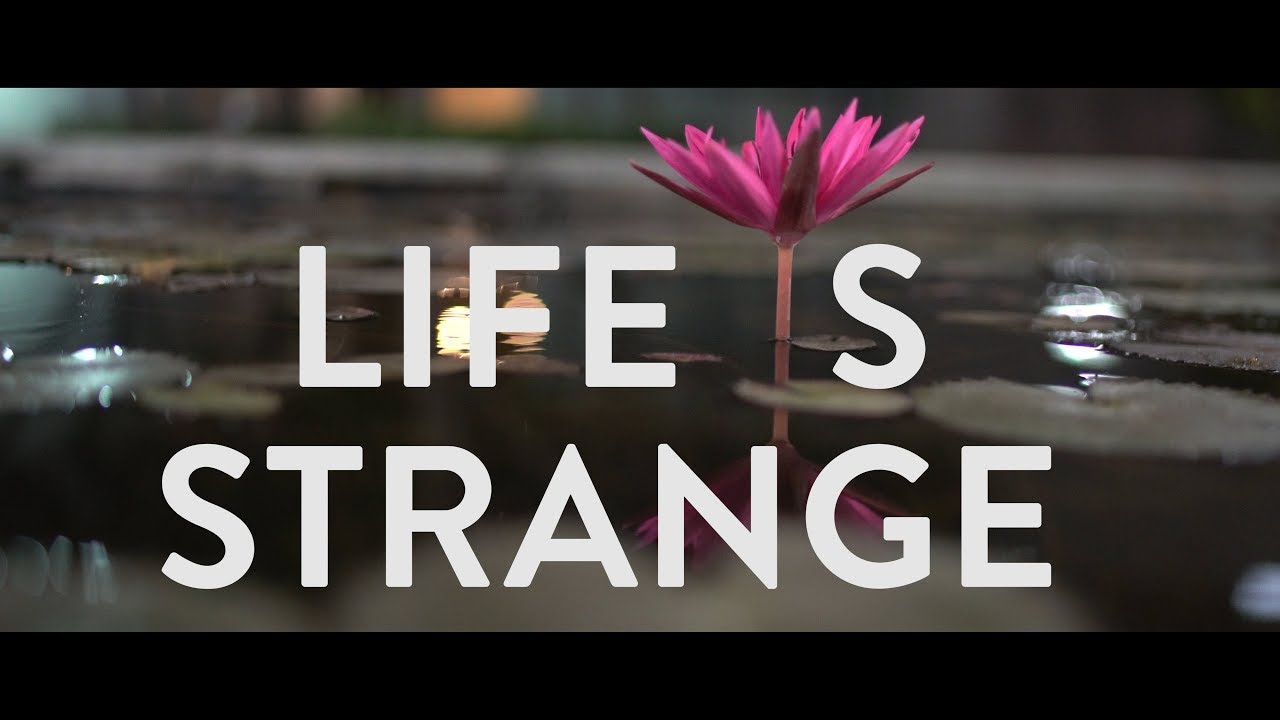 IIM Ahmedabad - Life Is Strange
