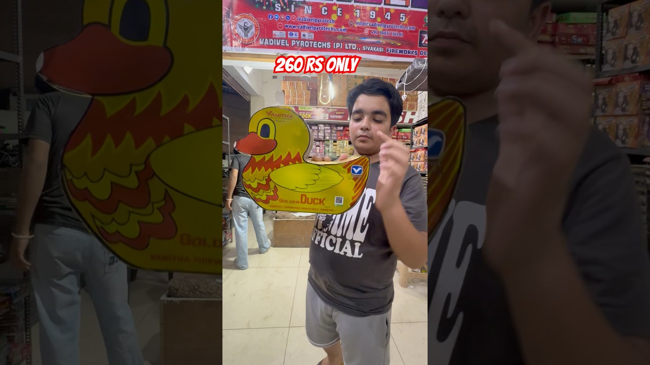 Fancy Duck Cracker 2025 #shorts #kurali #pataka #shortsviral #flowerpot #trending #crackers