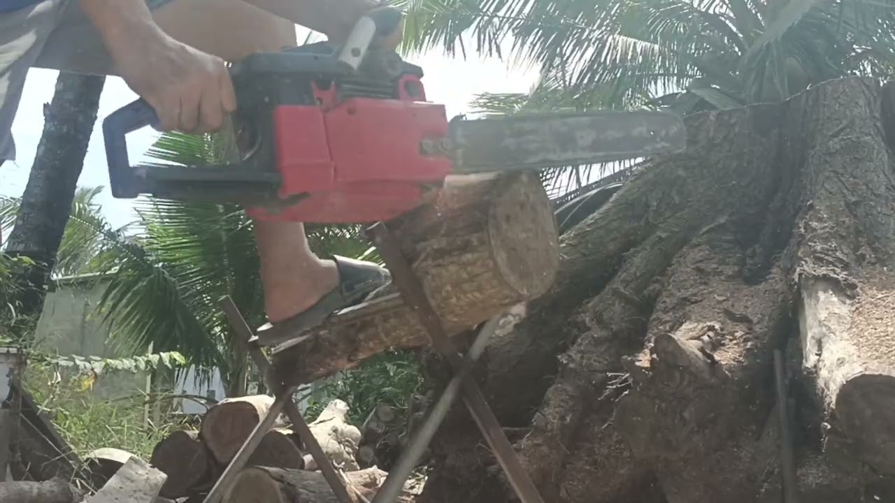 Jonsered 49cc ae dùng gia đình alo e 1600k máy lam xích