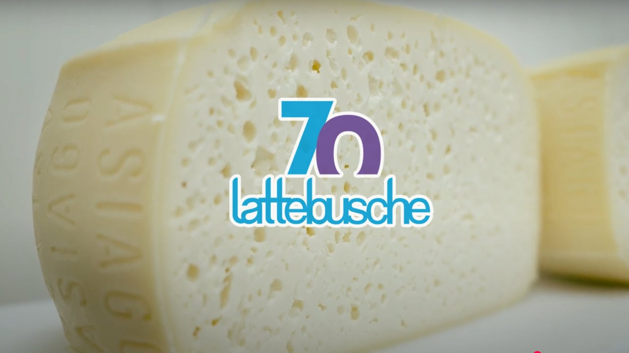 Lattebusche 