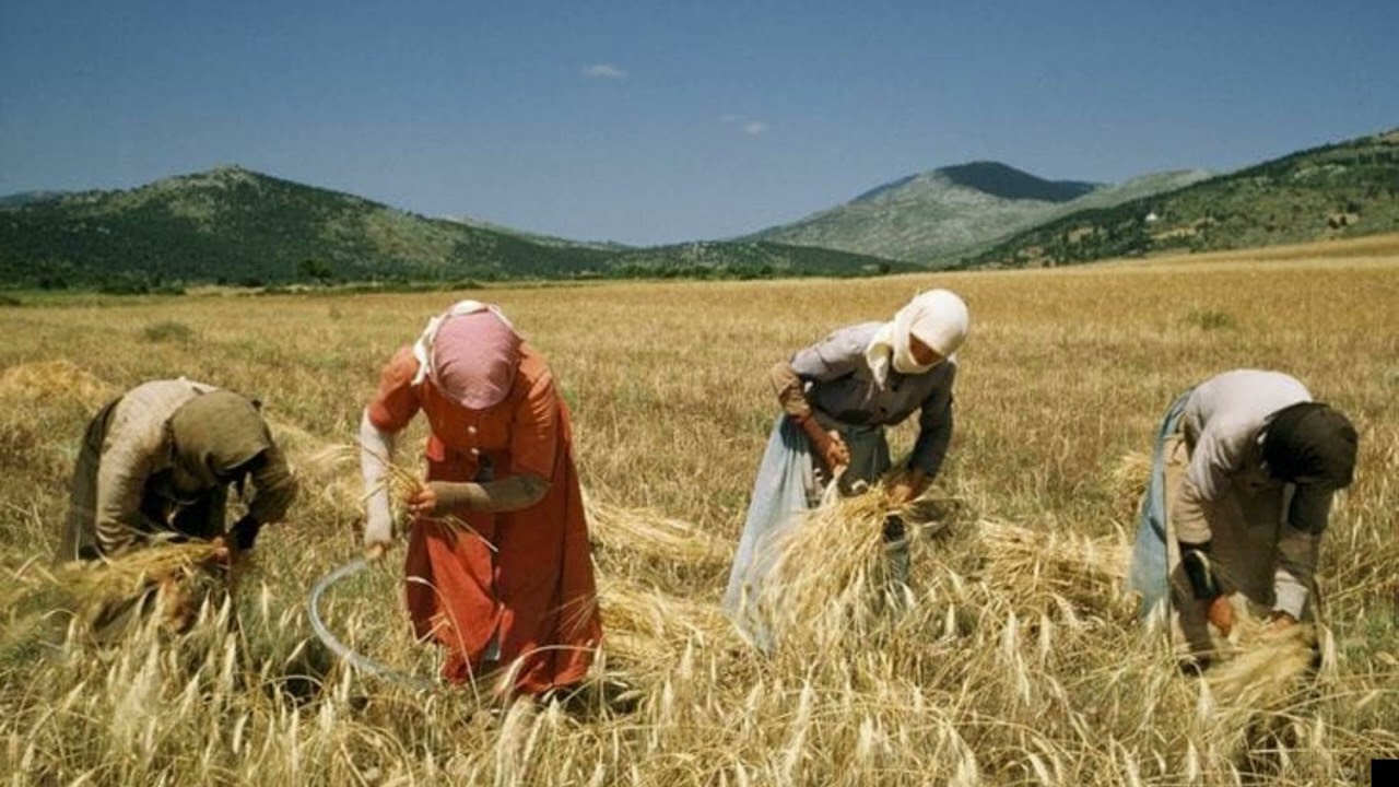 Adile Kurt Karatepe - Karşıki tarlanın ekini seyrek