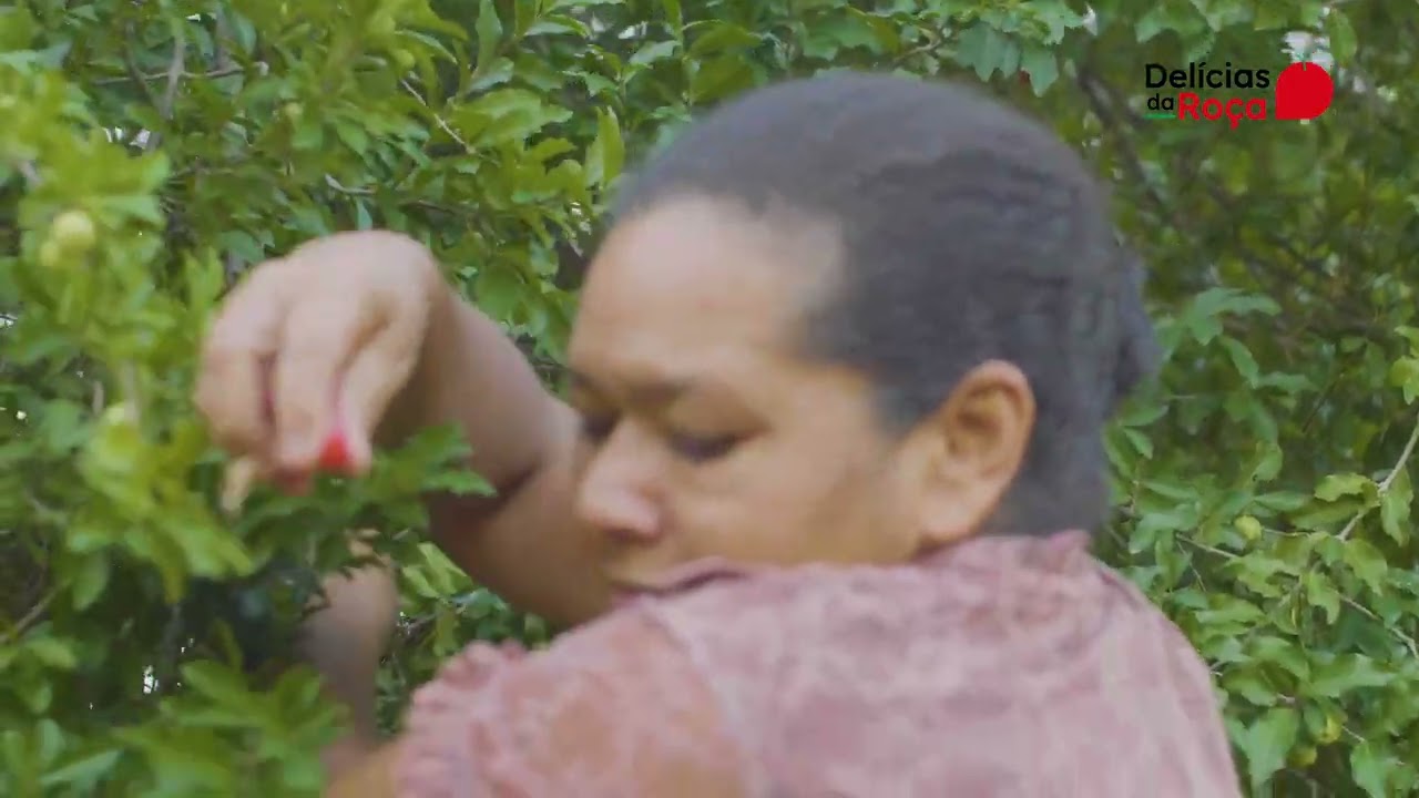 Delícias da Roça: doces artesanais da agricultura familiar | Programa AGIR Pantanal | Fundação Vale
