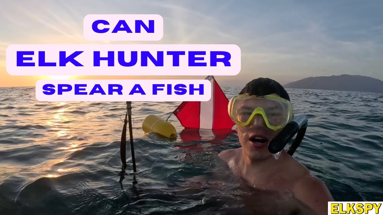 Will My ELK Hunting Skills help me SPEAR a Fish in Hawaii