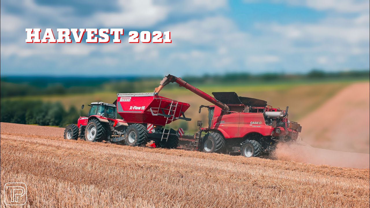 🌾 [ HARVEST 2021 ] CASEIH 6150 AxialFlow & MF 7726 et son PERARD X-FLOW 15 in France 🇫🇷