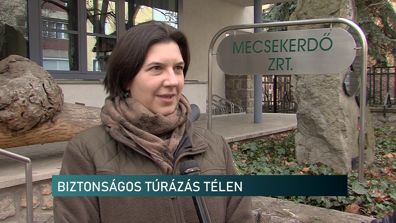 Mecseki t&uacute;r&aacute;z&aacute;s &eacute;s vesz&eacute;lyek - H&iacute;rad&oacute; - 2021.01.22.