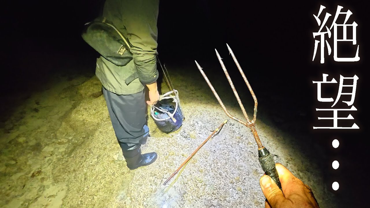 【ガチ事件】無人島で夜の潮干狩りしてたら…取り返しのつかないことになりました。