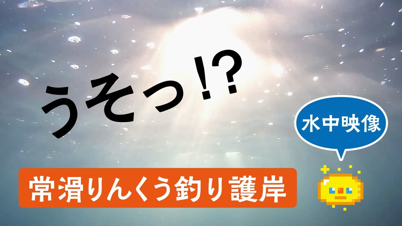 【水中映像】常滑りんくう釣り護岸 愛知県知多半島 / Underwater video