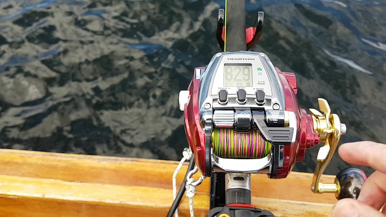 Daiwa Seaborg 500mj