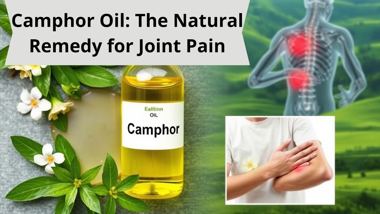 🔥 Camphor Oil: The Natural Remedy for Joint Pain! 🦵💆&zwj;♂️ 🔥