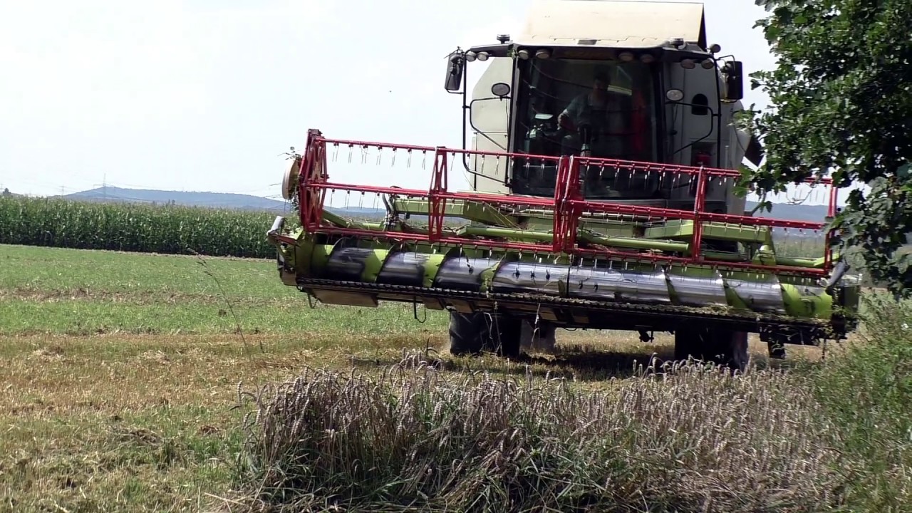 Getreideernte 2016 mit Claas Tucano 430