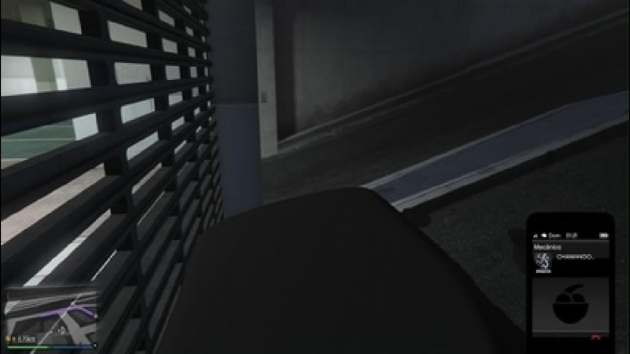 Grand Theft Auto 13