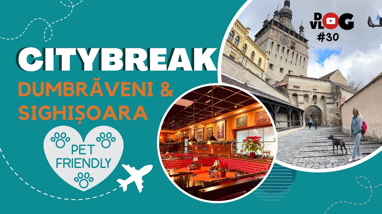 DogVlog #30 - CityBreak Dumbrăveni & Sighișoara🐾