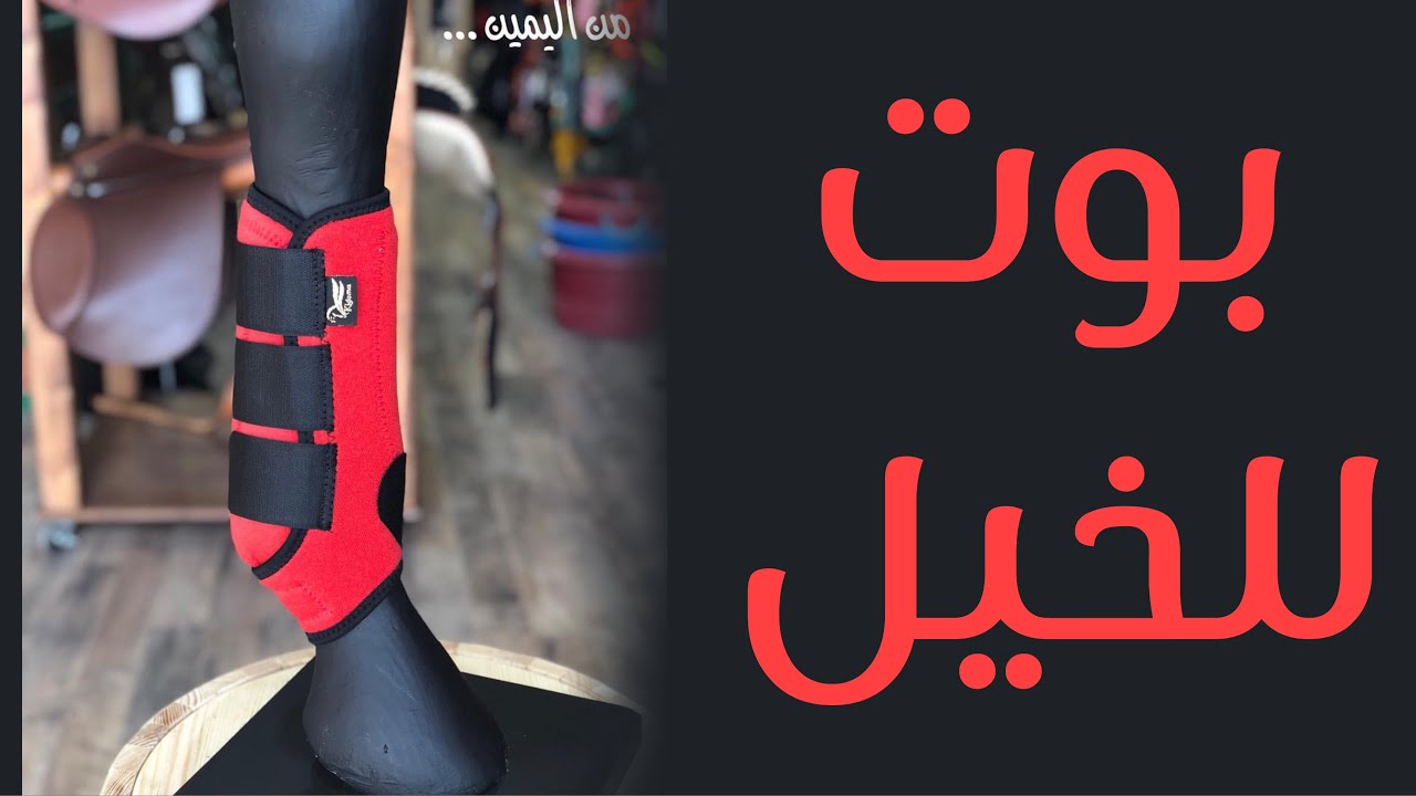 بوت لحماية قوائم الخيل من الإصابات